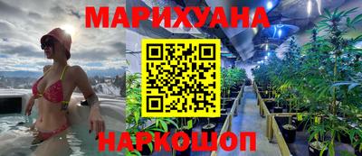 прущие грибы Краснознаменск