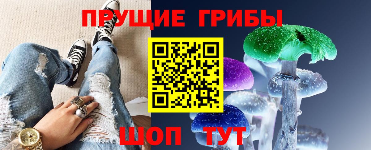 Псилоцибиновые грибы ЛСД  Вход с VPN  Зерноград  Галлюциногенные грибы Psilocybe 