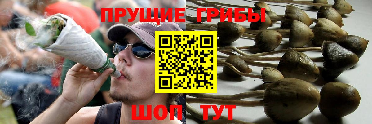 Галлюциногенные грибы Magic Shrooms Зерноград